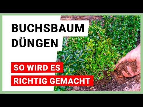 transporttasche kinderwagen flugzeug Buggy Kinderwagen Transporttasche für Reisen – Granori Official
