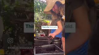 Composting with Worms!