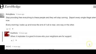 Massive Immigration Wave in U.S Schools & Shelters (Article Analysis)
