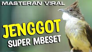 Download Lagu Masteran Wajib Burung Lomba!! Materi Full BESETAN TAJEM CUCAK JENGGOT BETINA - JOSJIS 2026 MP3