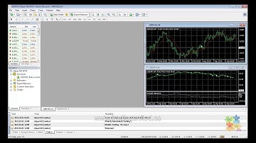 Forex Tester Professional - 5 Descargar y exportar datos desde MetaTrader 4