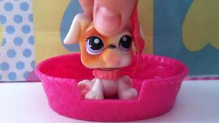 10 types of pawsomeTV fans for pawsomeTV