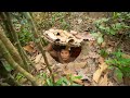 How to Build The Most Secret Underground Shelter Home Villa in the Jungle by Ancient Skills