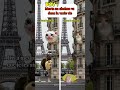 POV : Morts au cinéma vs dans la vraie vie #humour #drole #catmemes #pov