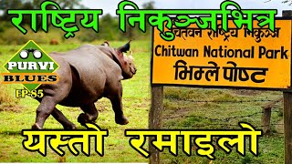 चितवन राष्ट्रिय निकुञ्ज, जङ्गल सफारी । गैंडा, बँदेल, मयुर, मृग Chitwan National Park Jungle Safari