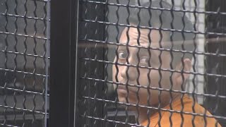 Suspect in Laguna Beach murder pleads not guilty; accused of killing woman with fire extinguisher