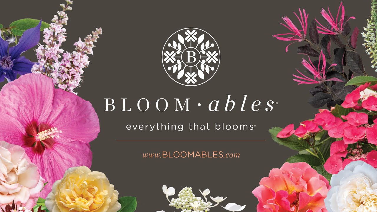 Star® Roses and Plants: Bloomables®