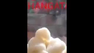 Telone wes mateng ? Video Lucu