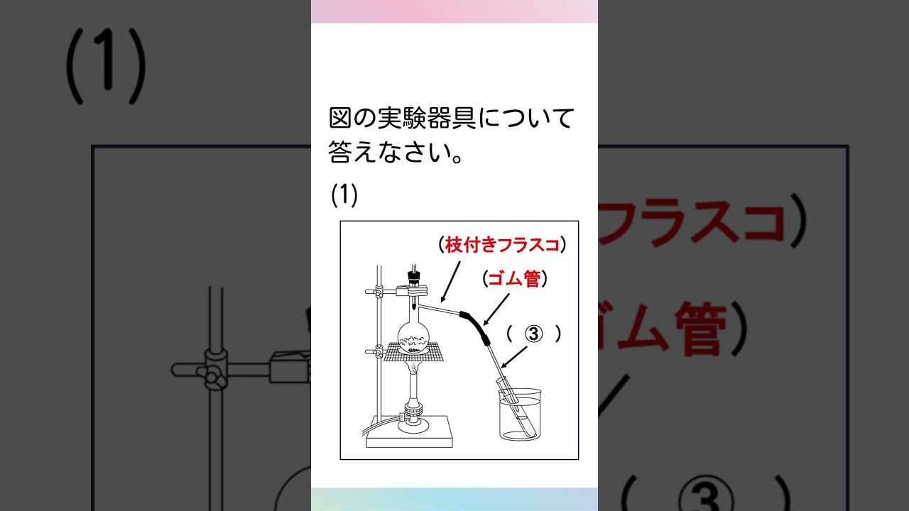 【一問一答】中学理科「実験器具の名称②」 #Shorts
