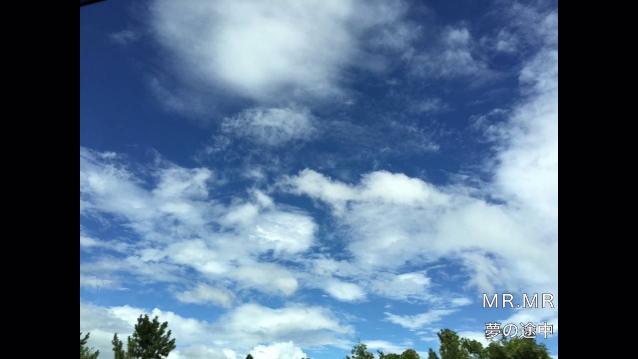 MR.MR 夢の途中