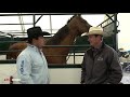 Equine Outfit Of Excellence | Jack | Champion Right Leader
