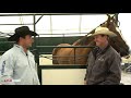 Equine Outfit Of Excellence | Jack | Champion Right Leader