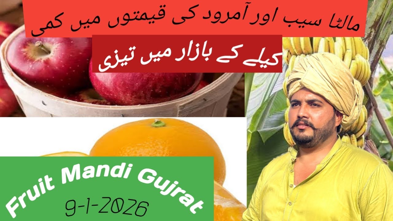 Fruit Mandi Gujrat Roz ki taza apdate