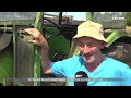 La Foire de Libramont, un rendez-vous agricole et festif au cœur de l'été - RTBF Info