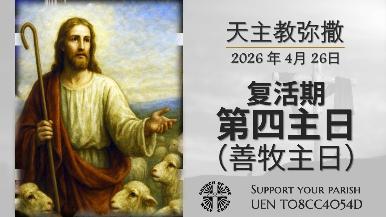 直 播 复活期 第四主日 (善牧主日)华语弥撒 萧 永 伦 神 父 主 祭 2026年 4月 26日 - YouTube