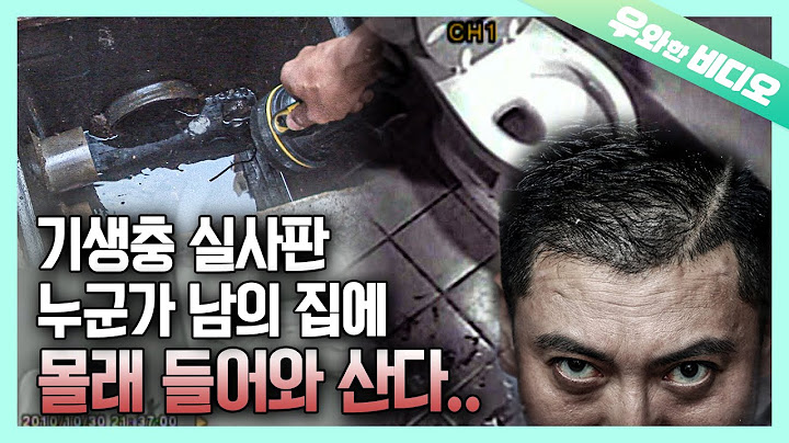 현실판 기생충, 누군가 우리 집에 숨어 산다!┃Parasite in Real Life, Somebody’s Secretly Living in My House!