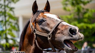 Tanino Gimlet 馬名キーホルダー タニノギムレット ウマ娘 同人 タニノギムレット ウオッカ キーホルダー - メルカリ