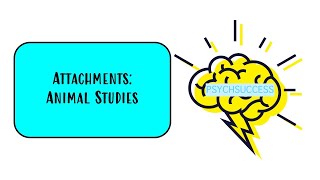 AQA A level - Animal Studies (Harlow and Lorenz)