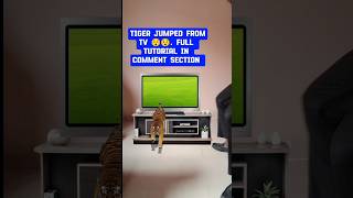 TIGER JUMPED FROM TV - SEE VIOLENCE #viral  #shorts