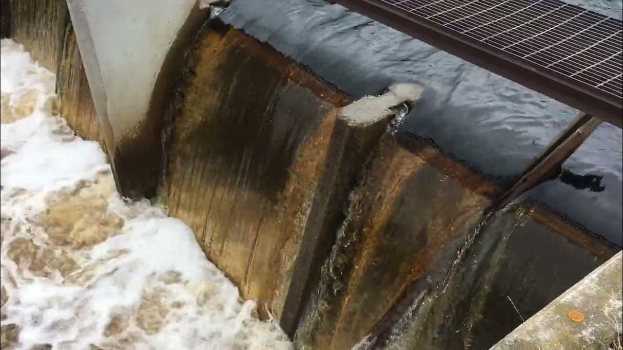 Shelldrake Dam Overflow YouTube