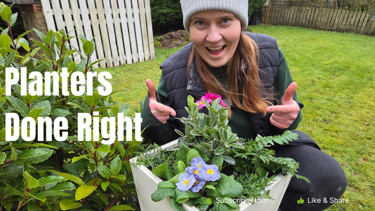 How to Choose the Right Plants for Containers