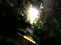 Cek lampu taman, shift malam #shorts #lighting #engineering