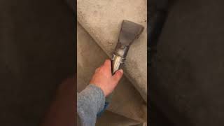 Steam Carpet Cleaning In Reading Magic Pro Cleaning