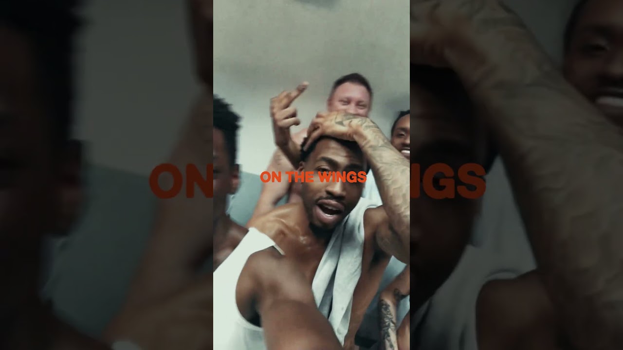 one rule in D-Wing: F.A.F.O.