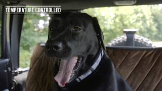 Plush Paws Products Premium Advanced Custom Seat Cover for Cars, trucks and Suv's