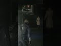 re 2 remake leon e ada