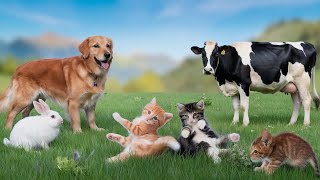 🐱 Farmyard Besties! 🐾 Tiny Kitten Playing with a Baby Goat, Pig, and Cow
