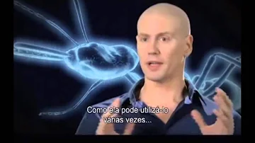 Como acabar com Formiga de estalo?