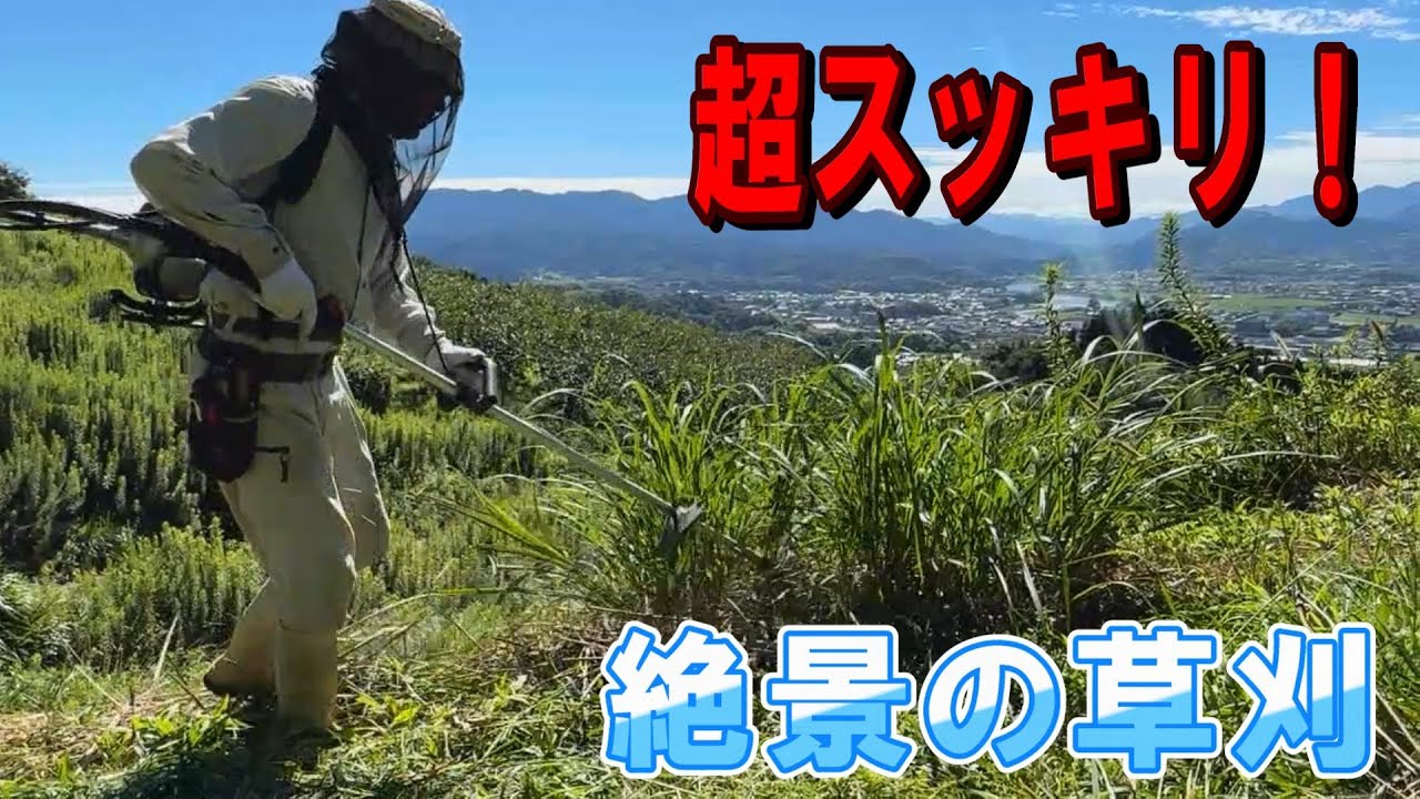【草刈り】刈払機二枚刃で絶景のオリーブ畑の草を爽快に刈る！