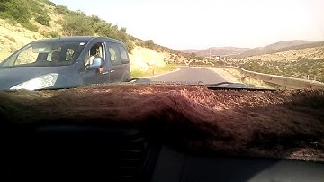 يا قارئ القرءان بشراك النعم 💚 لخوف في دنياك تلقى أو ألم