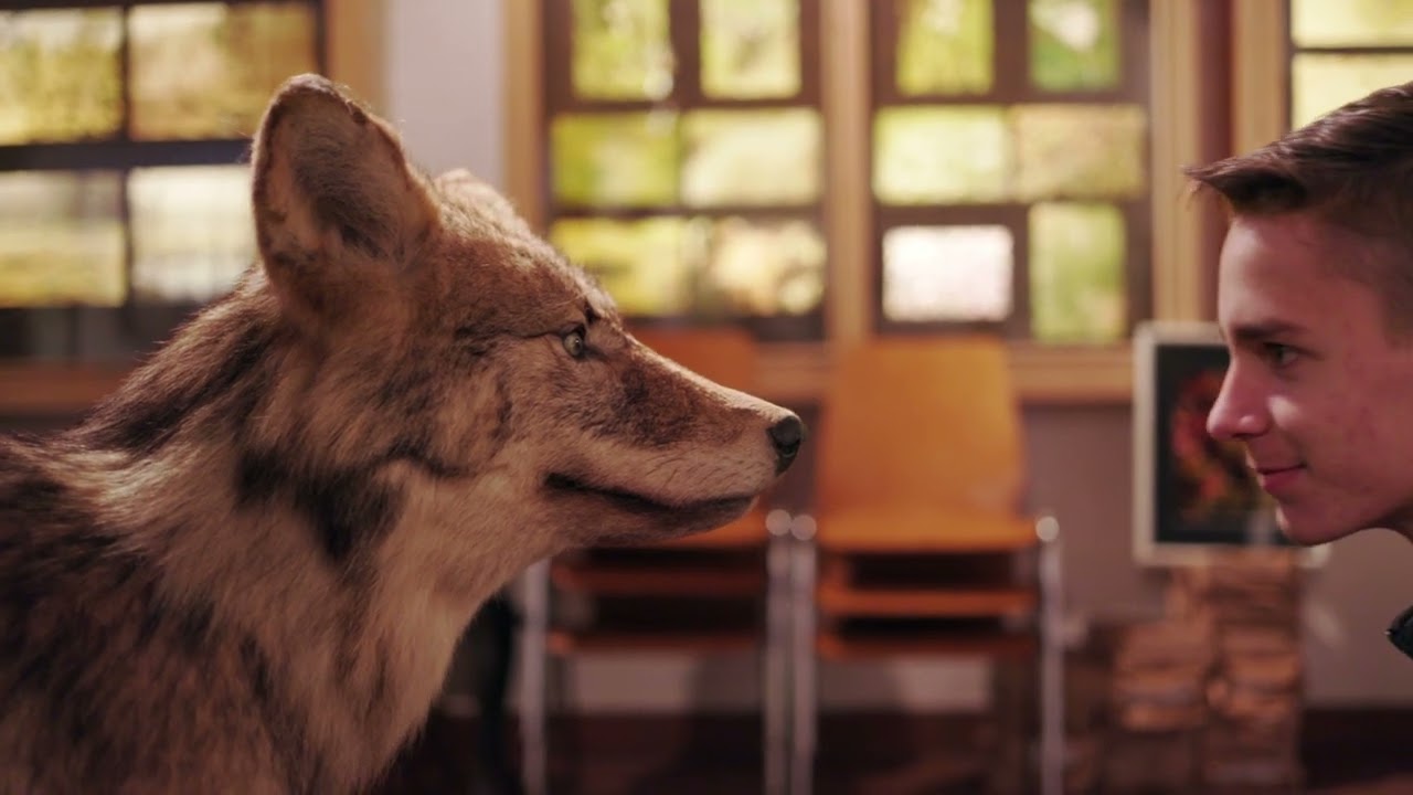 NMS Heidenreichstein -  Kenne deine Stadt - Englischwettbewerb