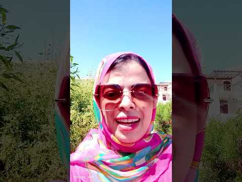 اجمدى انا بقوه بيكى متضعفيش