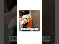 게으른 고양이 운동시키면 생기는 일