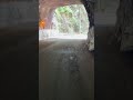 hand made tunal in madeira