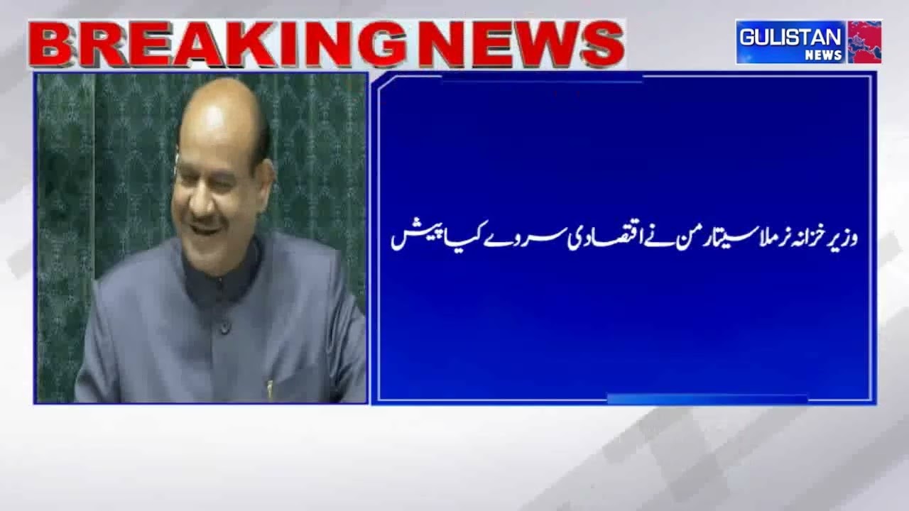 Министр финансов Нирмала Ситараман представила экономический обзор в Лок Сабхе.