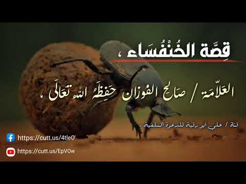 قصة الخنفساء العلامة صالح بن فوزان الفوزان حفظه الله 