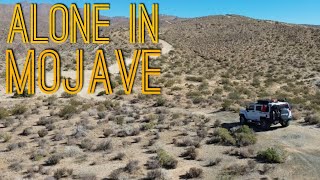 Alone in the Mojave Desert: No Roads, No People, Just Me & the Desert.