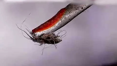 Cleaning stylus with AT 637 ELECTRONIC STYLUS CLEANER (MICROSCOPIC REC)