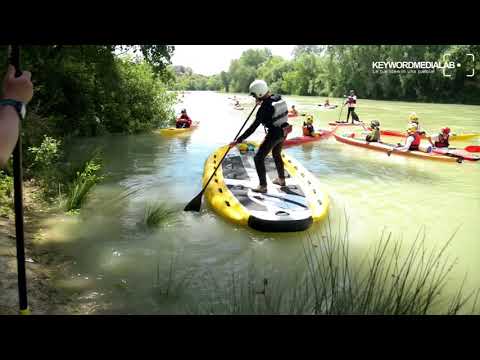 7-schede gestionali tevere