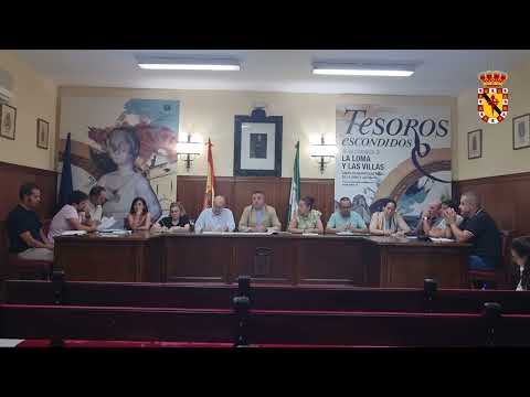 Pleno ordinario 18 de junio 2026