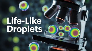 Belousov-Zhabotinsky Reaction: Chemical Mimicry of Life