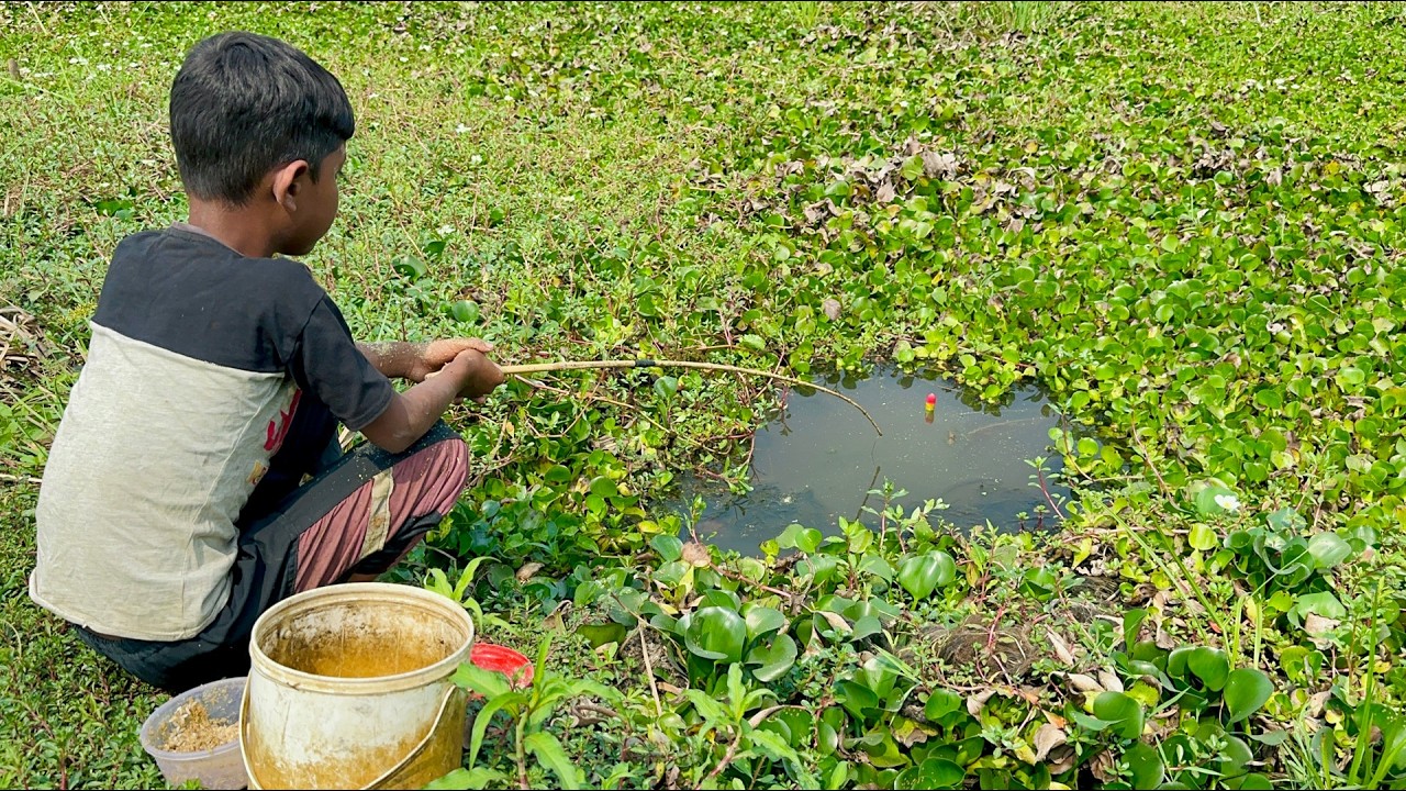 Amazing Hook Fishing Technique Form Field Pond Village Little Boy Hunting Catching Fish By Hook