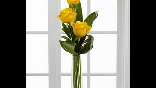 Flower Delivery Medford NJ|1-800-444-3569|Send Flowers Medford NJ|Flowers Medford NJ