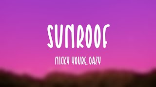 Sunroof - Nicky Youre, Dazy (Lyric-centric) 🤎