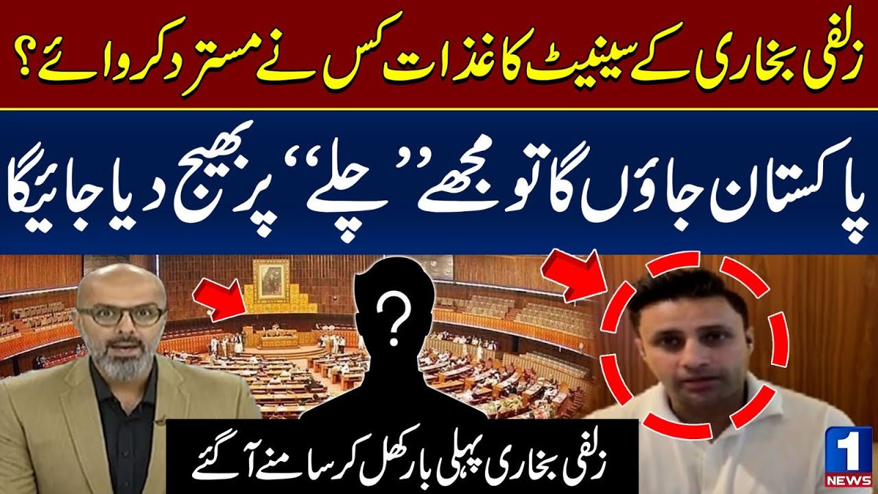 Why Zulfi Bukhari's Nomination Papers Rejected ? PTI Zulfi Bukari Broke Silence | Newsone