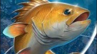 Fishing Hook (MOD, unlimited money) Apk screenshot 3